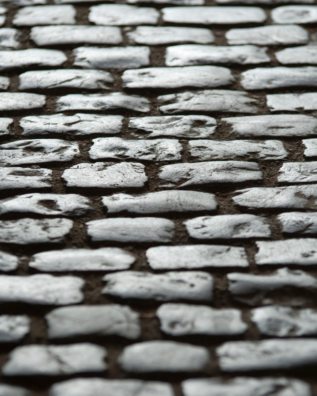 PARIS-ROUBAIX 2026 HAUTS-DE-FRANCE