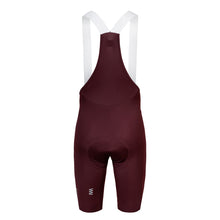 Suarez Spyder Men's Bibshorts