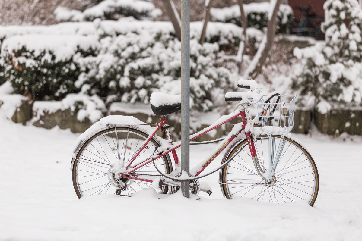 Cento Cycling Holiday Shipping 2020