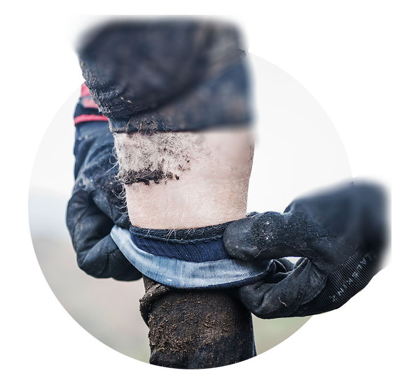 Briston Waterproof All Weather Mid Length Sock with Hydrostop Black/Neon by Sealskinz